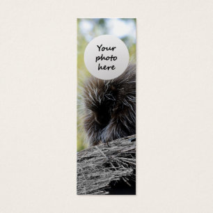 Cartes De Visite Signet personnalisé Porc-épic arboricole