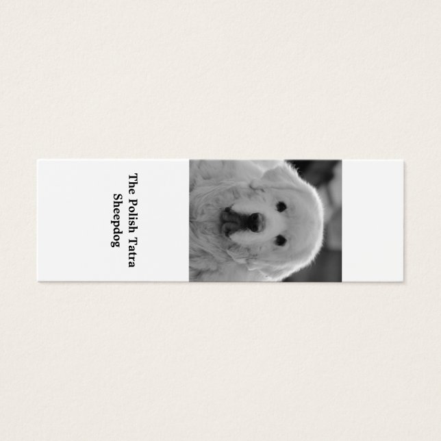 Cartes De Visite Signet polonais Tatra Sheepdog Puppy (Devant)