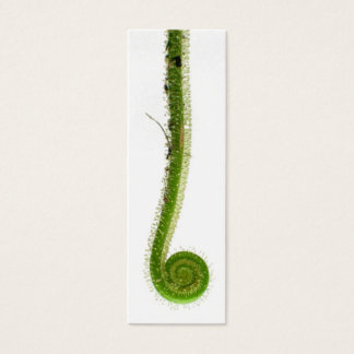 Cartes De Visite Signet Sundew Frond