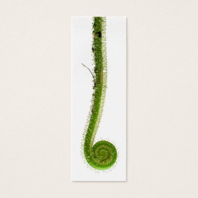 Cartes De Visite Signet Sundew Frond (Devant)
