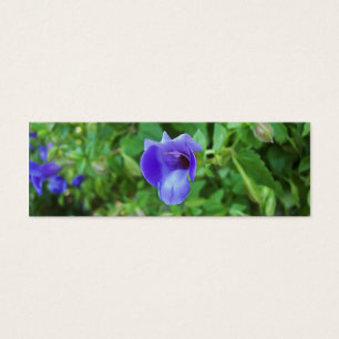 Cartes De Visite Signet Torenia