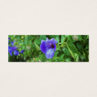 Cartes De Visite Signet Torenia