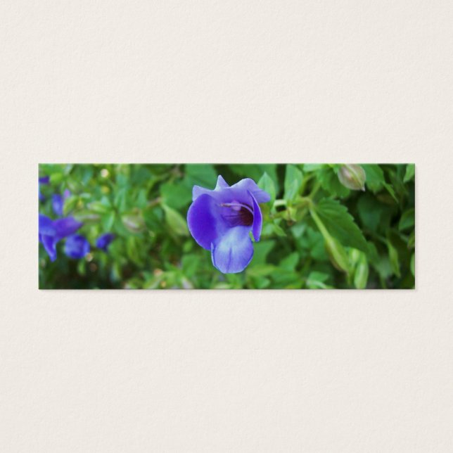 Cartes De Visite Signet Torenia (Devant)