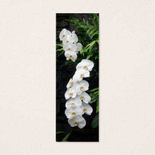 Cartes De Visite Signet tropical de fleurs