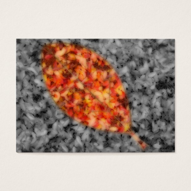 Cartes De Visite Signets de Bright Shadows (Devant)