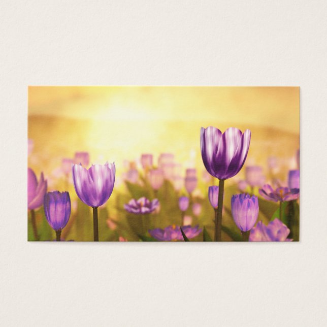 Cartes De Visite Signets de jubilé pourpre (Devant)
