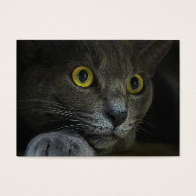 Cartes De Visite Signets d'intensité (Devant)