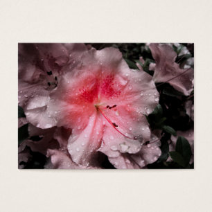 Cartes De Visite Signets intérieurs