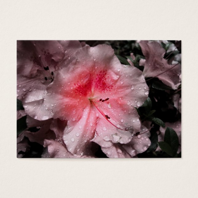 Cartes De Visite Signets intérieurs (Devant)