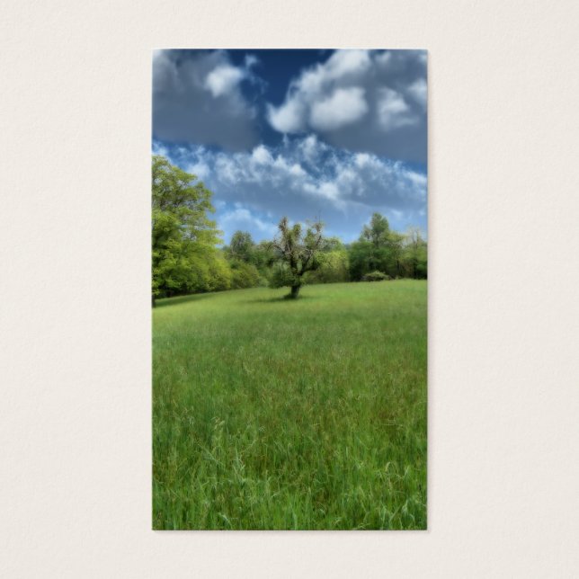 Cartes De Visite Signets verts des Appalaches (Devant)