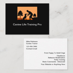 Cartes de visite simples pour la formation de chie