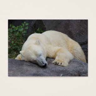 Cartes De Visite Sleeping Polar Bear