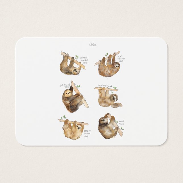 Cartes De Visite Sloths Classic (Devant)