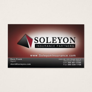 Cartes De Visite Soleyon 2