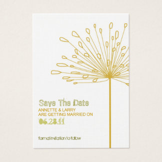 Cartes De Visite Sonora