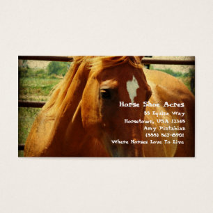 Cartes De Visite Sorrel dans stylo rond