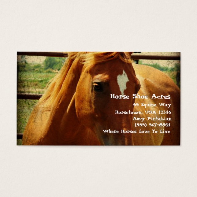 Cartes De Visite Sorrel dans stylo rond (Devant)