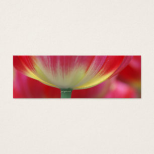 Cartes De Visite sous la jupe de tulipes