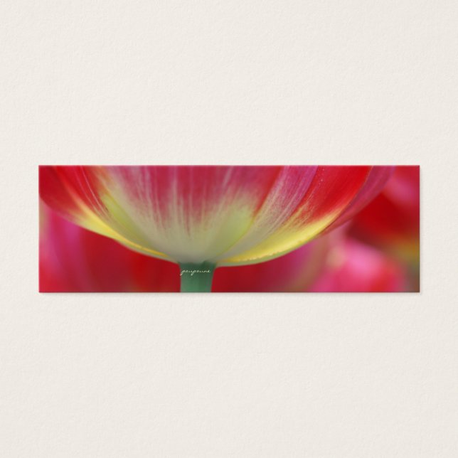 Cartes De Visite sous la jupe de tulipes (Devant)