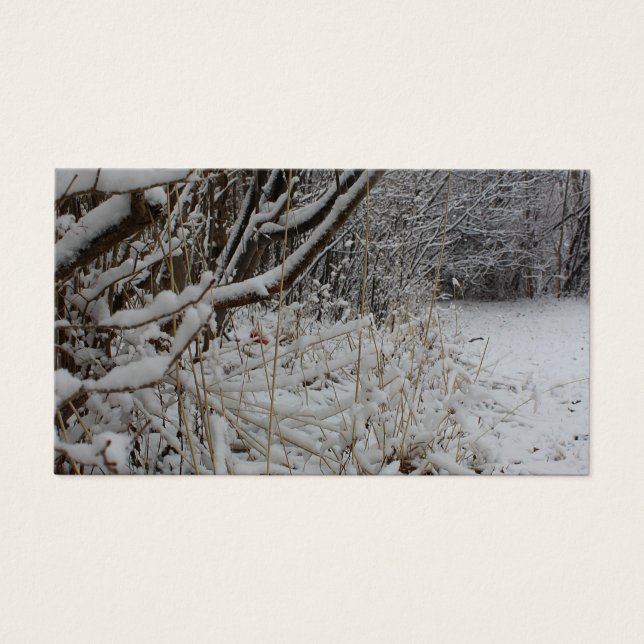 Cartes De Visite Sous une couverture de neige (Devant)