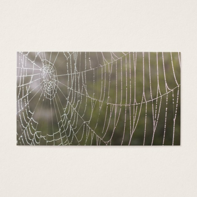 Cartes De Visite Spider Cobweb (Devant)