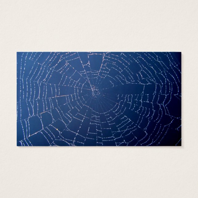 Cartes De Visite Spider Web (Dos)