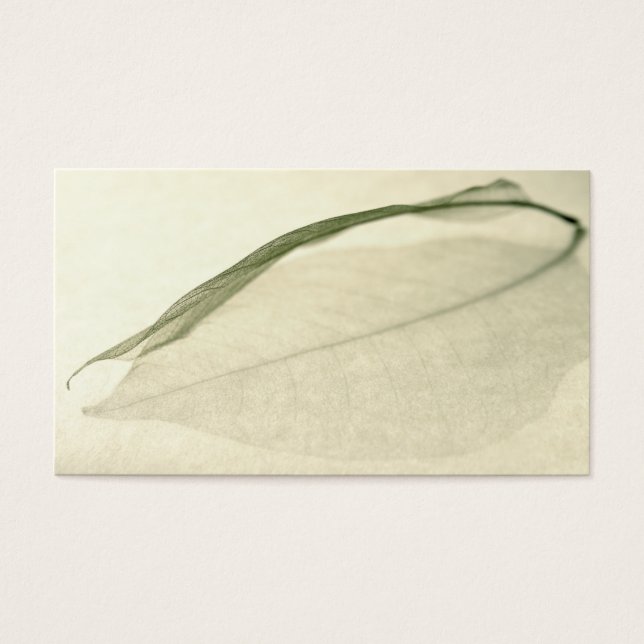 Cartes De Visite squelette (Devant)