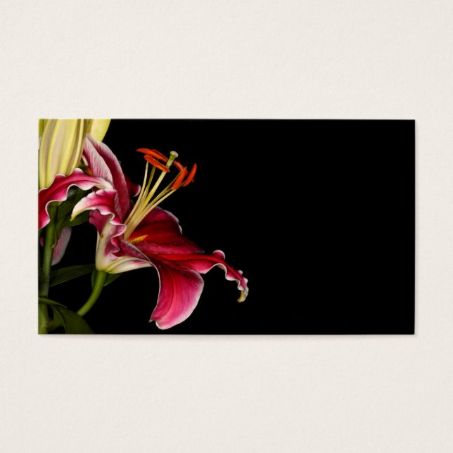 Cartes De Visite Stargazer Lily (Devant)