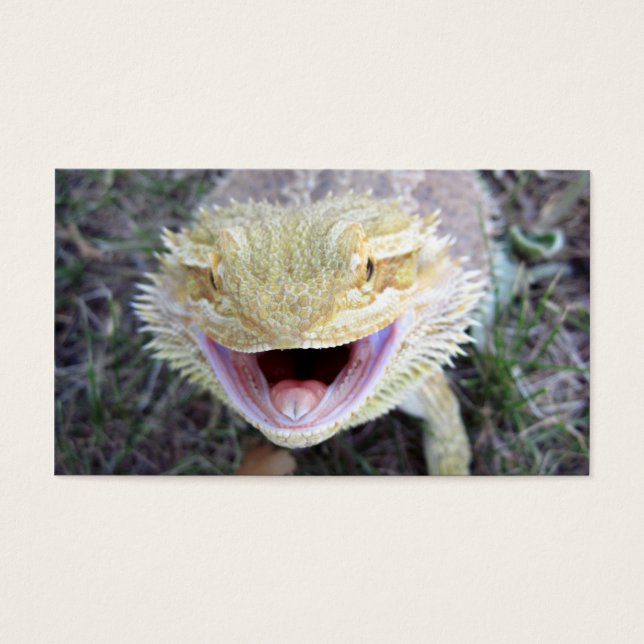 Cartes De Visite Super Happy Bearé Dragon (Devant)