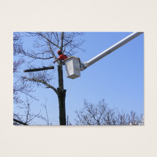 Cartes De Visite Suppression d'arbre ~ ATC (Devant)
