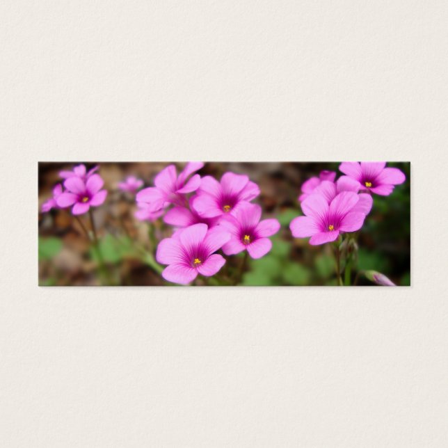 Cartes De Visite Sur mes Signets de porte (Devant)