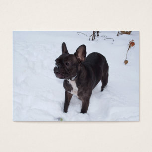Cartes De Visite Sweet Black French Bulldog aime la neige