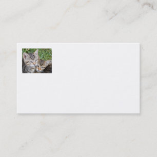 Cartes de visite Tabby Sisters