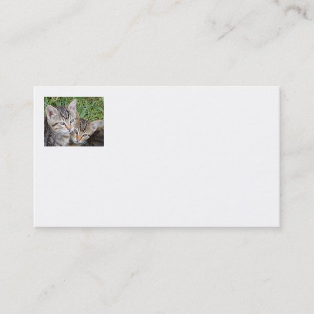 Cartes de visite Tabby Sisters (Devant)
