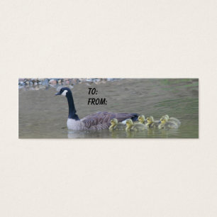 Cartes De Visite Tag cadeau de Canadian Goose Mom Baby Nature