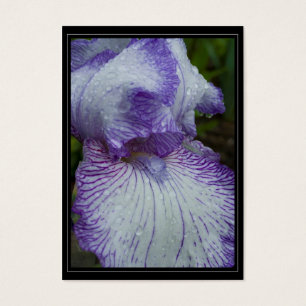 Cartes De Visite Tag du cadeau Earl of Essex