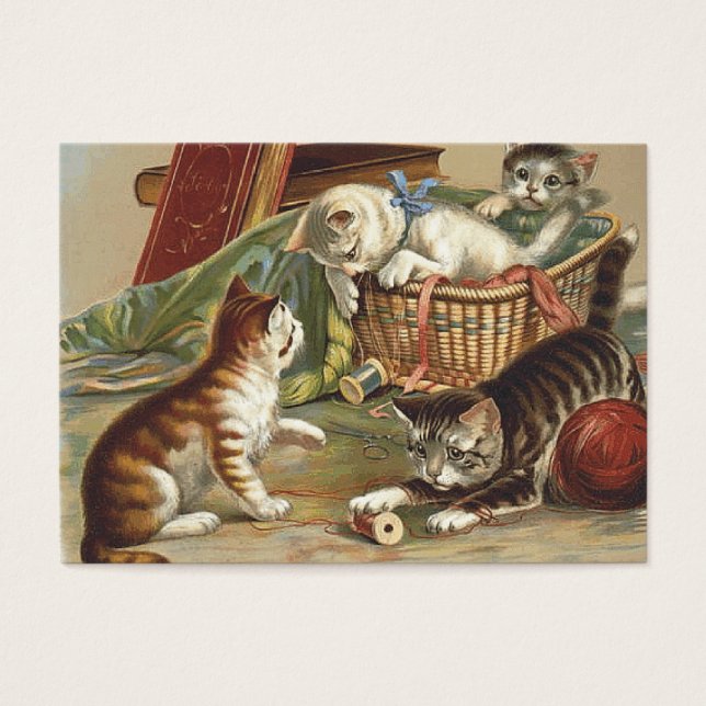 Cartes De Visite TEE Curious Cat (Devant)