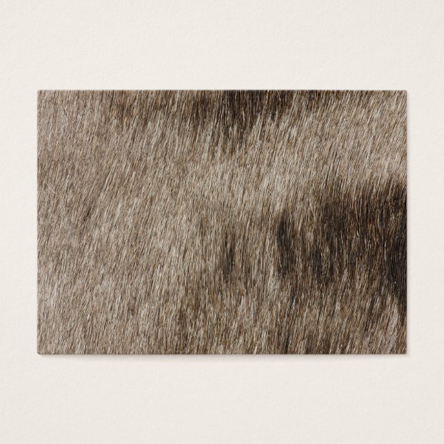 Cartes De Visite Texture de fourrure animale (Devant)