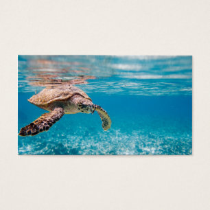 Cartes De Visite Tortue de mer