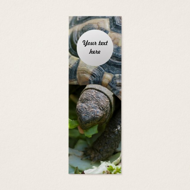 Cartes De Visite Tortue mignonne (Devant)