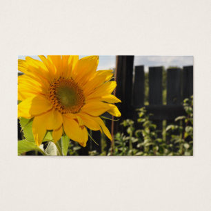 Cartes De Visite Tournesol et barrière