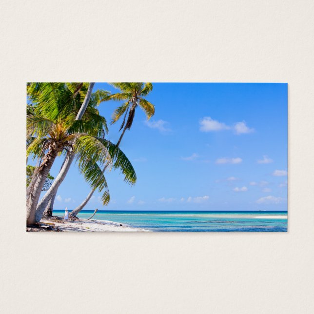 Cartes De Visite Tropical coastline (Devant)