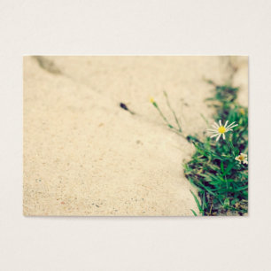 Cartes De Visite Trottoir