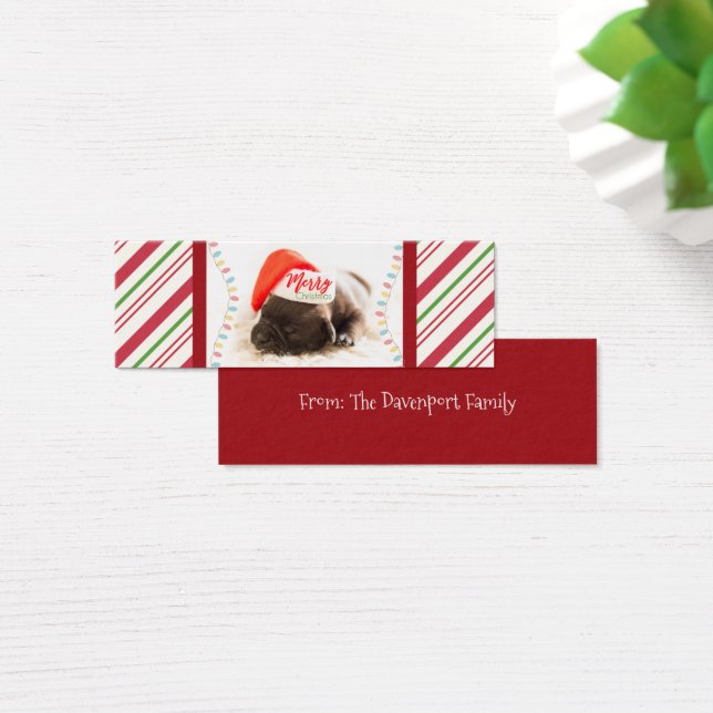 Cartes De Visite Un beau Carlin de marionnettes dans un chapeau rou (Bureau)