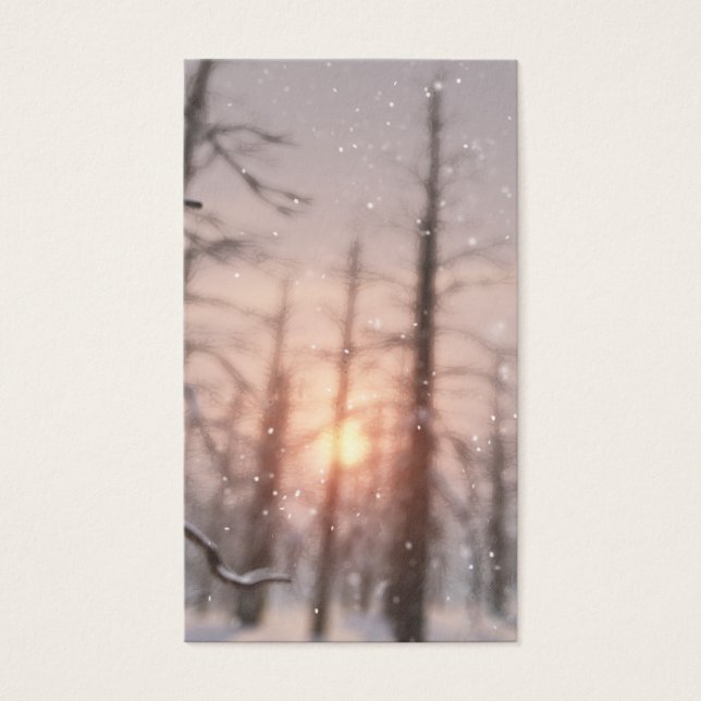 Cartes De Visite Une nuit d'hiver Signets de rêve (Devant)