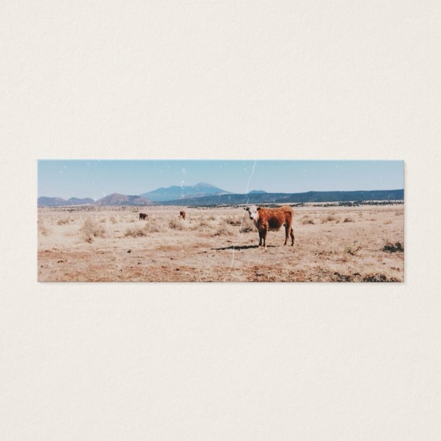 Cartes De Visite Vache du désert (Devant)