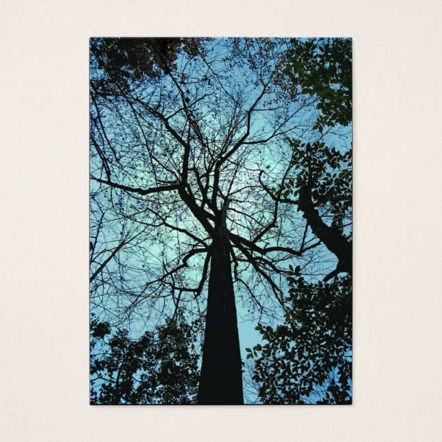 Cartes De Visite Vers le haut de l'arbre ATC (Devant)