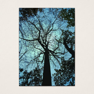 Cartes De Visite Vers le haut de l'ATC d'arbre