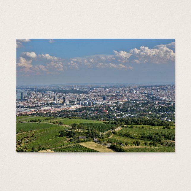 Cartes De Visite View Over Vienna From Kahlenberg (Devant)