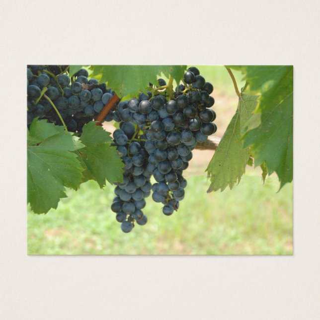 Cartes De Visite Vignoble (Devant)